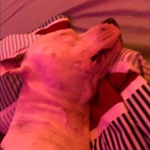 Meet your Posher, Rafael